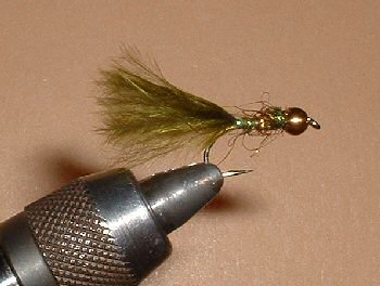 Damsel casquée