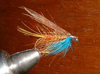 Invicta