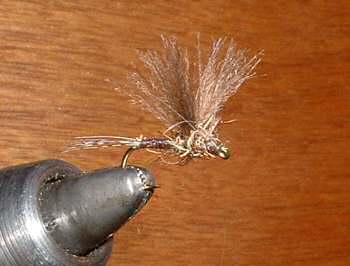 CDC ailes s�par�es