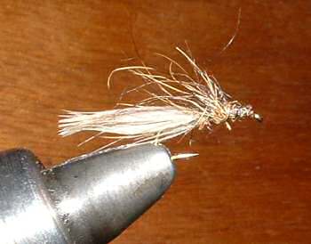 Sedge en canne ou colvert
