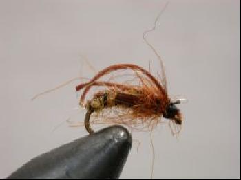caddis puppa