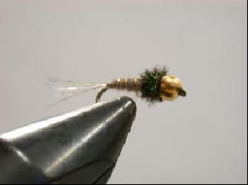 Nymphe Beaver