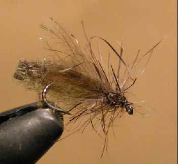 Sedge gris,kaki et gris