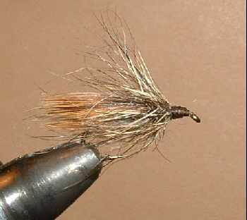 sedge liévre