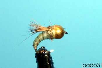 Nymphe de sedge en latex