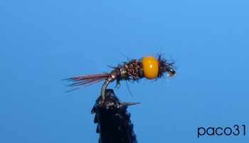 Pheasant tail hot spot verre