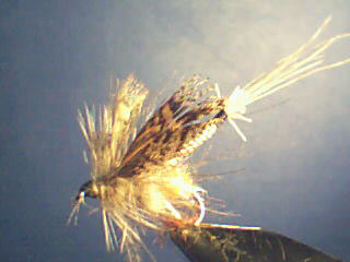 mouche de mai body extension