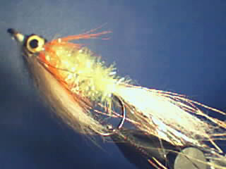 Brochet