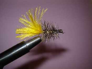streamer
