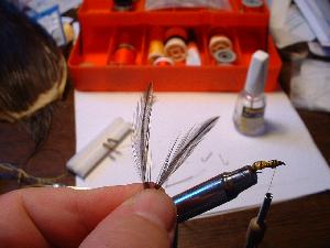 Montage de mouche
