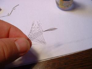 Montage de mouche