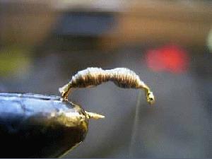 Montage de mouche