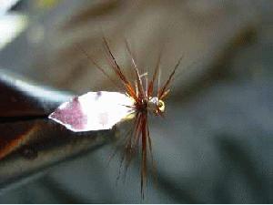 Montage de mouche