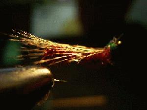 Montage de mouche