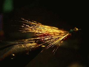 Montage de mouche