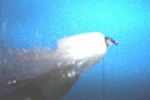 Montage de mouche