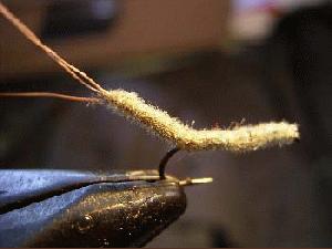 Montage de mouche
