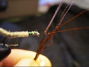 Montage de mouche