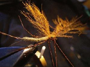 Montage de mouche