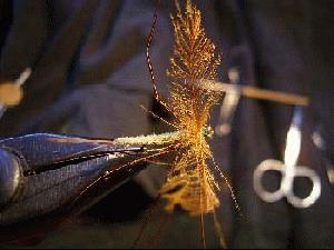 Montage de mouche