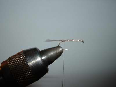 Montage de mouche