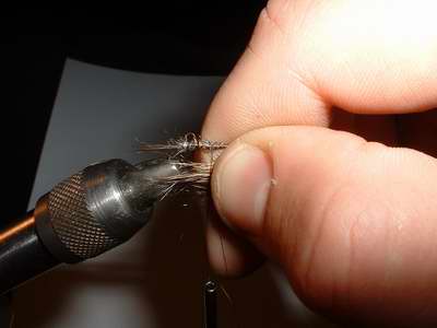 Montage de mouche