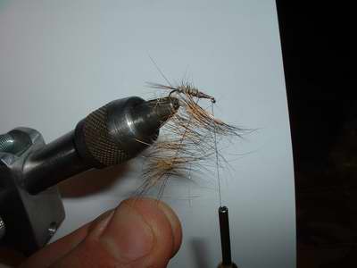 Montage de mouche