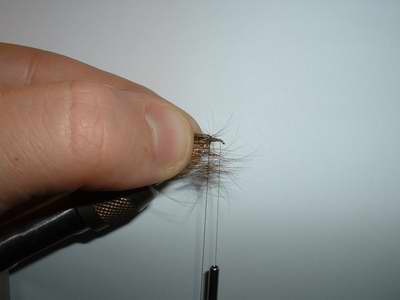 Montage de mouche