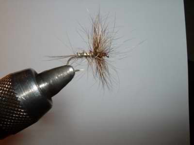 Montage de mouche