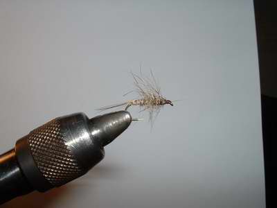 Montage de mouche