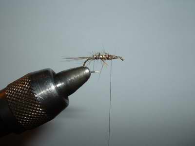 Montage de mouche