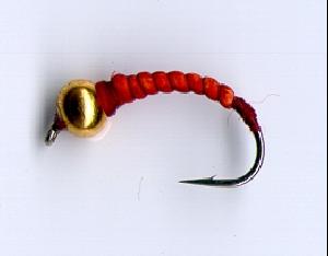 Fiche de montage : Le chironome casque d'or