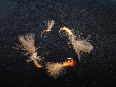 Shuttlecock :<br> émergente de chironome réservoir Shuttlecock :<br> émergente de chironome réservoir