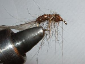 Montage de mouche