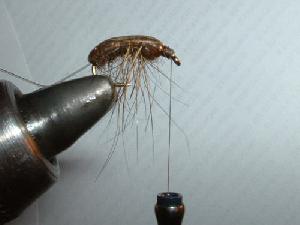 Montage de mouche