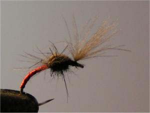 Montage de mouche