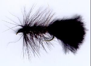Woolly bugger noir Woolly bugger noir