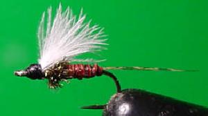 Fiche de montage : Chironome (quill et cdc)
