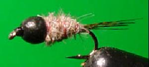 Nymphe tungst�ne