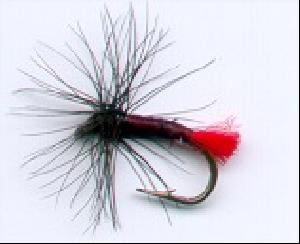 Fiche de montage : Moucheron red tag