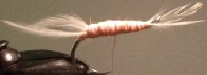 Montage de mouche