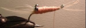 Montage de mouche