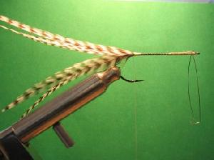 Montage de mouche