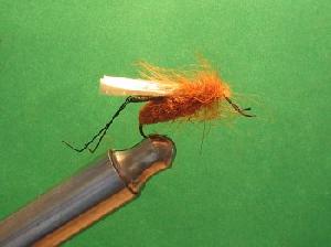Fiche de montage : Sauterelle rousse