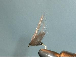 Montage de mouche