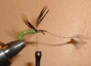 Montage de mouche