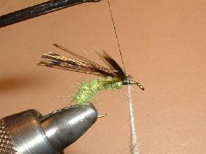 Montage de mouche