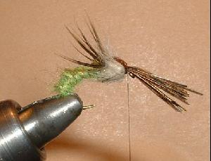 Montage de mouche