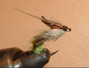 Fiche de montage : Sedge émergent