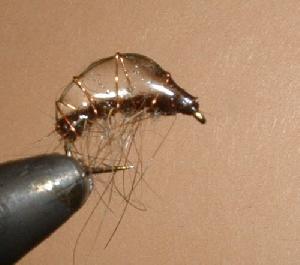 Montage de mouche